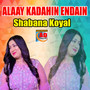 Alaay Kadahin Endain
