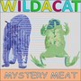 Mystery Meat (feat. Nico Giacalone)