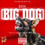 Big Dog (feat. B.E.G.G.) [Explicit]