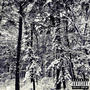 Purgatory (feat. Ray Forty) [Explicit]