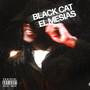 Black Cat (Explicit)