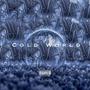 Cold World (feat. Hsoj) [Explicit]