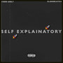 SELF EXPLAINATORY (Explicit)