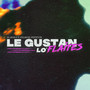 Le Gustan Lo' Flaites (Explicit)