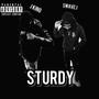 STURDY (feat. J King) [Explicit]