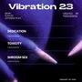 Vibration 23 (Explicit)