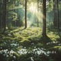 Ocean Waves: Soothing Sounds for Serenity