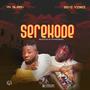 Serekode (feat. Seyi Vibez) [Explicit]