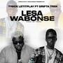 Lesa Wabonse