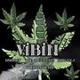 Vibin' (feat. The Queen Cee & DMoney) [Explicit]