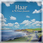 Haar