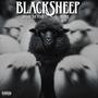 Black Sheep (feat. Savage Da Fool) [Explicit]