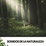 Sonidos de la Naturaleza: Symphony of Nature