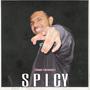 SPICY (HINDI FREEVERSE) [Explicit]