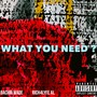 WHAT YOU NEED