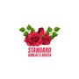 Standard (feat. Krusa)