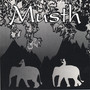 Musth