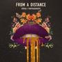 From a Distance (Explicit)