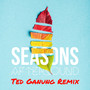 Seasons (Ted Ganung Remix)