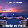 Meditation and Wisdom