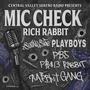 Mic Check (feat. Rich Rabbit) [Explicit]