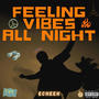 Feeling Vibes All Night (Explicit)