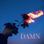 Damn (Explicit)