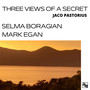 Three Views of a Secret