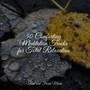 50 Comforting Meditation Tracks for Total Relaxation