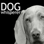 Dog Whisperer - Soft Instrumental Peaceful Music to Comfort Puppies and Adult Dogs