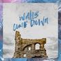 Walls Come Down (feat. Jelani Aswad & Robin Walters)