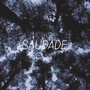 Saudade