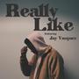 Really Like (feat. Jay Vasquez) [Explicit]