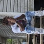 Spring 2021 (Explicit)