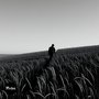 Kuyah