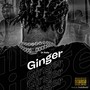 Ginger (Explicit)