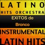 Exitos de Bronco