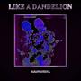 Like A Dandelion (Explicit)