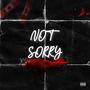 Not Sorry (Explicit)