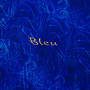 BLEU (Explicit)