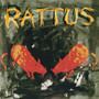 Rattus