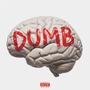 DUMB (Explicit)