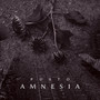 Amnesia