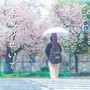 春風のせいで