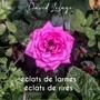 Éclats de larmes, éclats de rires