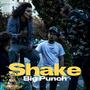 SHAKE (Explicit)