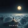Salkyn