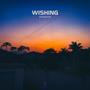 Wishing (feat. beautifulbeats99) [Explicit]