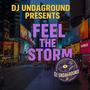 Feel the storm (Radio Edit)