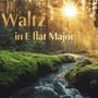 Waltz in E Flat Major